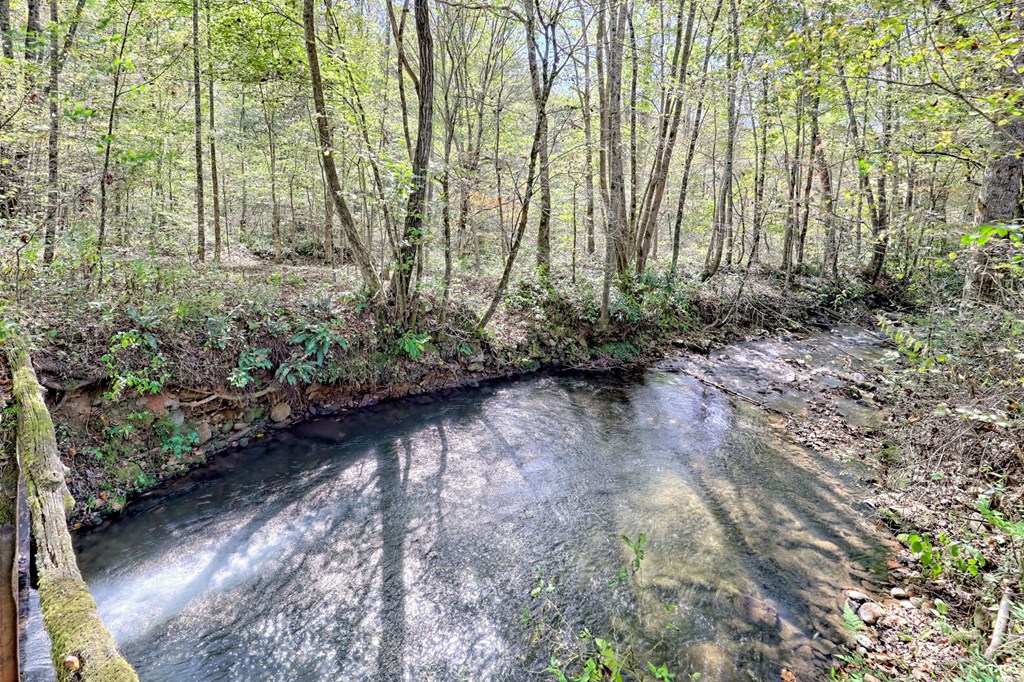 1064 Muskrat Creek Road