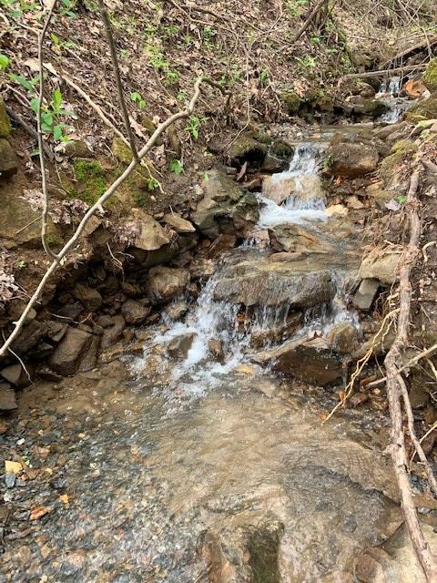402 Picklesimer Mountain Trail