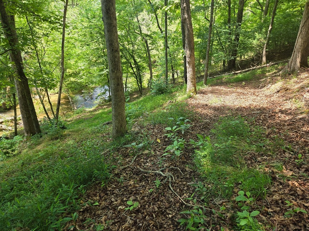 Tr 2 & 3 Settlement Road
