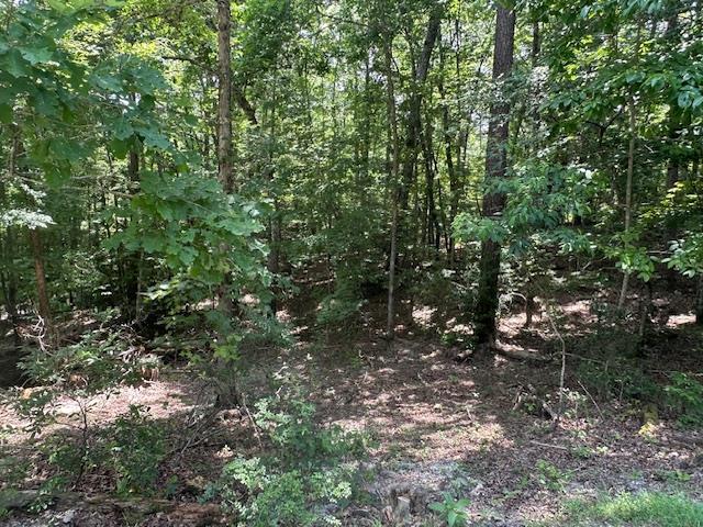 Lot 208 Boulder Creek Road