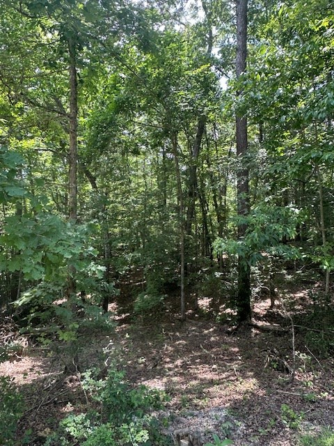 Lot 208 Boulder Creek Road
