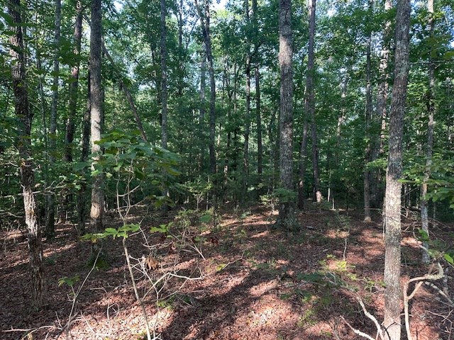 Lot 208 Boulder Creek Road