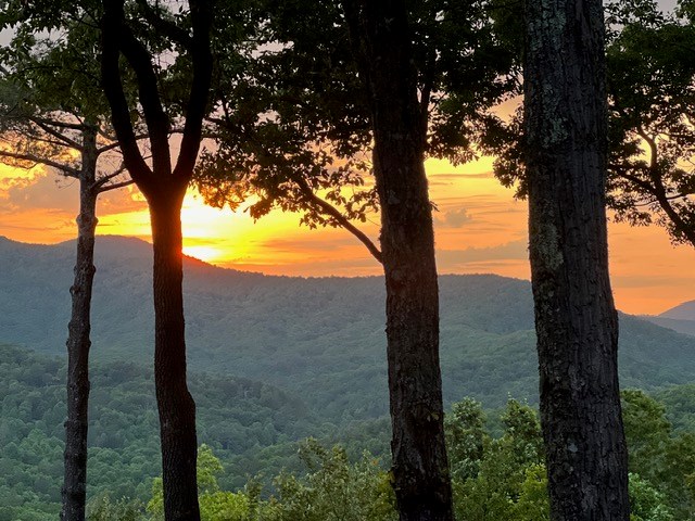 Some views stop you in your tracks.. and this is one of them! Tucked i – image 87
