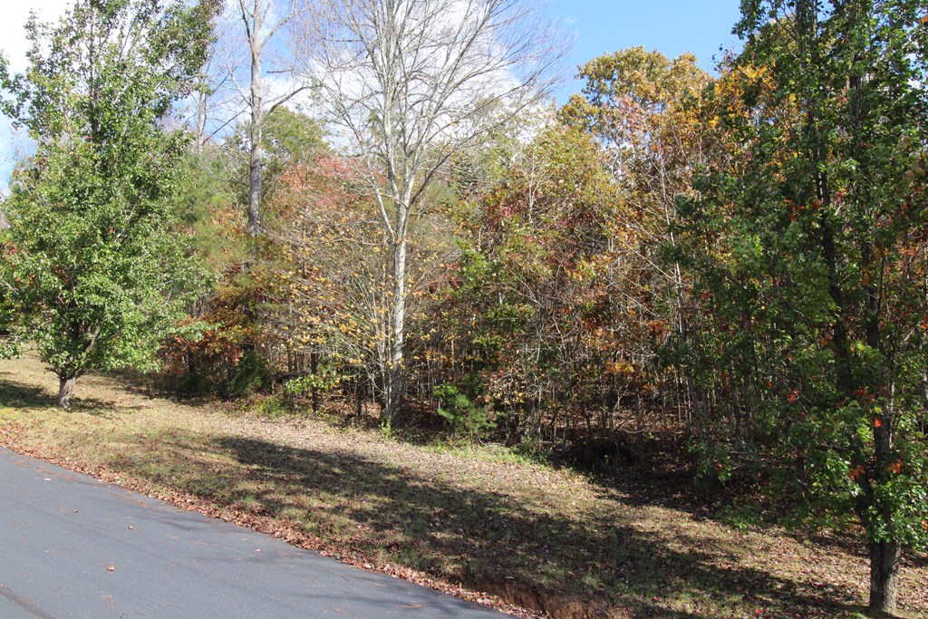 Lot 17 Old Taylors Ferry Ridge