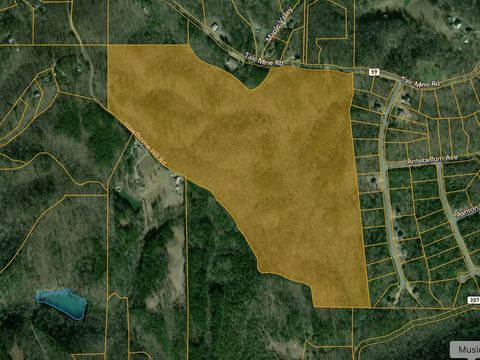 0 Talc Mine Road Jasper GA 30143