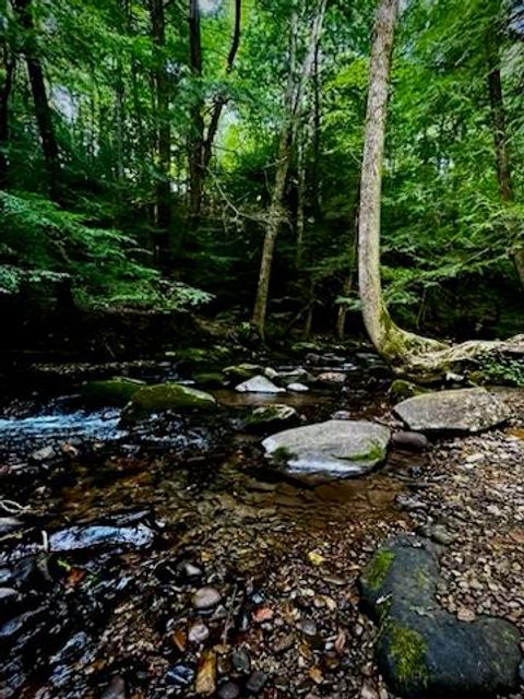 A home in Ellijay