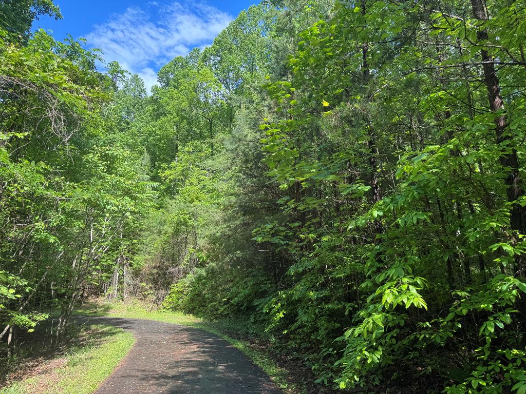 Lot 42 Meadow Brooke