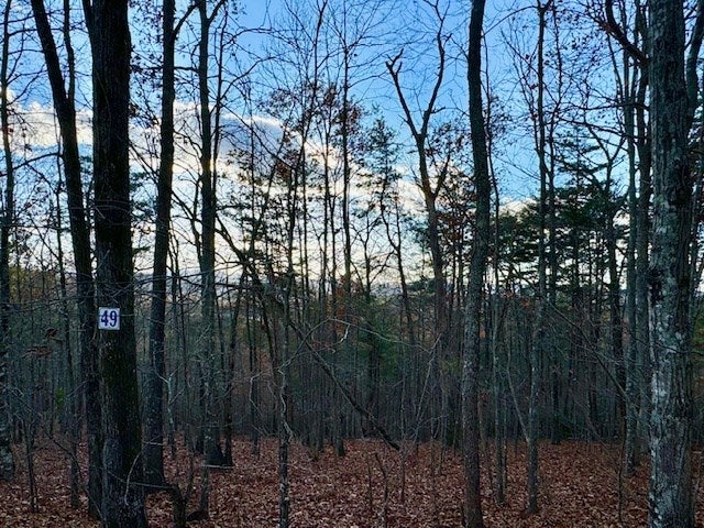 Lot 49 Mission Ridge