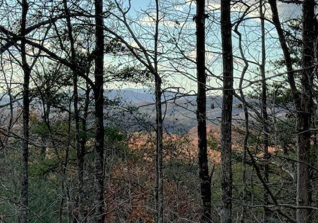 Lot 49 Mission Ridge