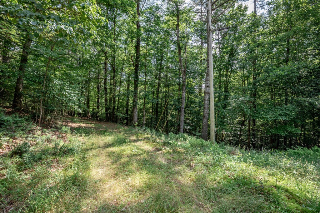 Lot 10 Raper Mill Creek