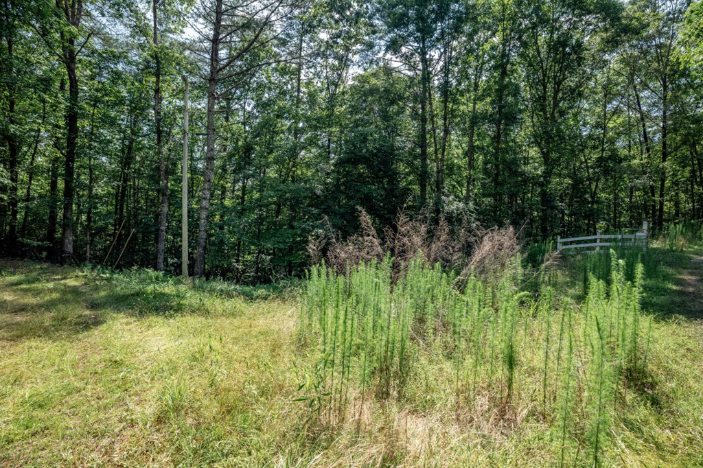 Lot 10 Raper Mill Creek