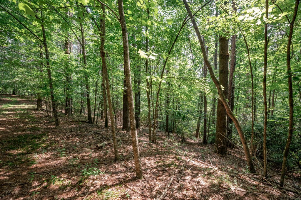 Lot 10 Raper Mill Creek