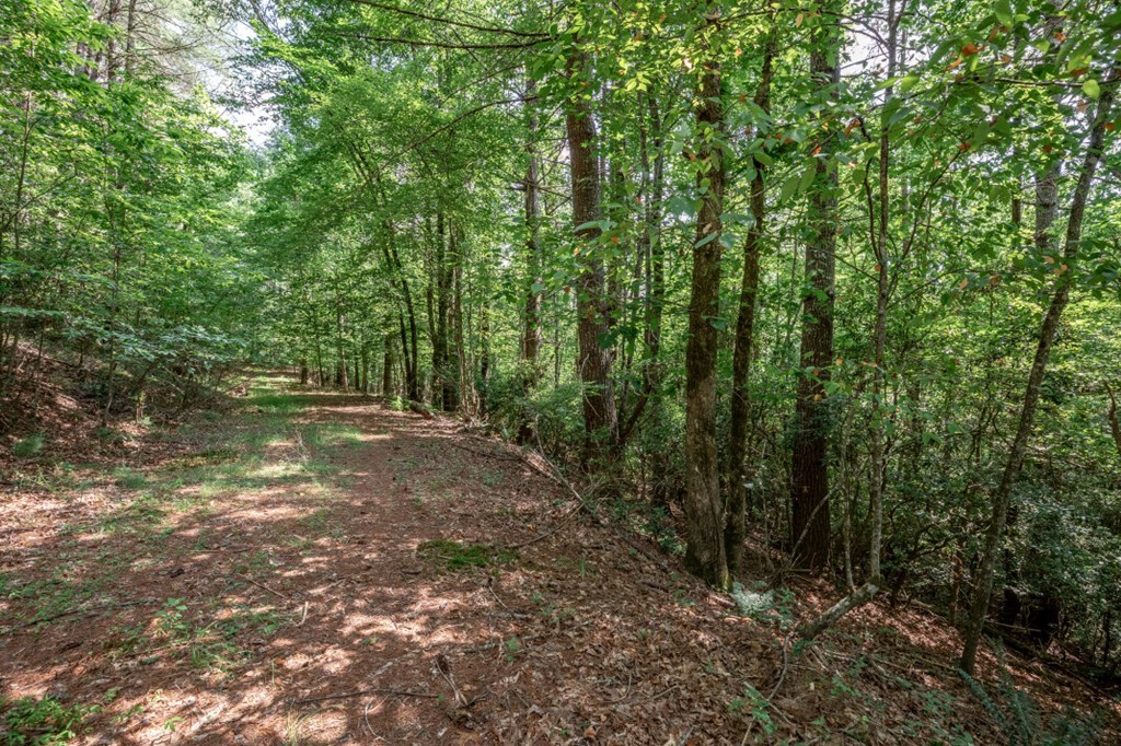 Lot 10 Raper Mill Creek