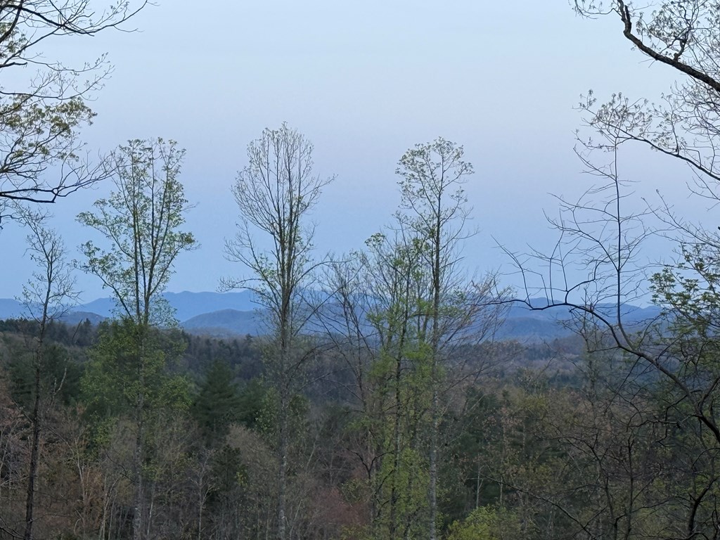 Murphy, North Carolina, 28906, United States, 1 Bedroom Bedrooms, ,1 BathroomBathrooms,Residential,Active,2000193