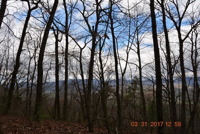 Murphy, North Carolina, 28906, United States, 1 Bedroom Bedrooms, ,1 BathroomBathrooms,Residential,Active,2000193
