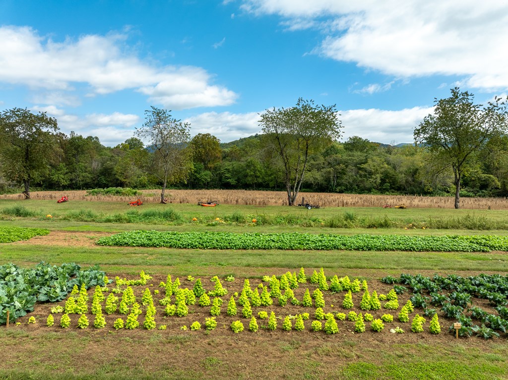 25 Morning Glory Lane