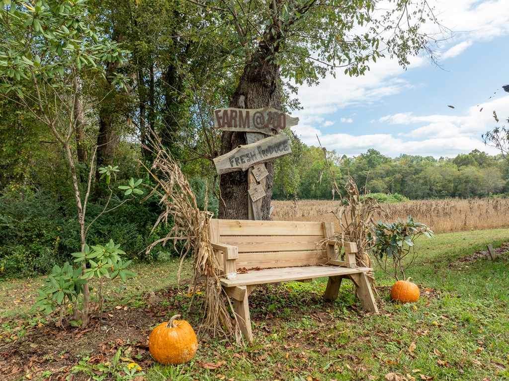 25 Morning Glory Lane