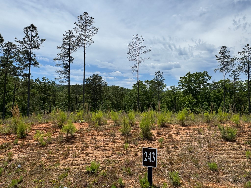 Lot 243 Spear Point Dr