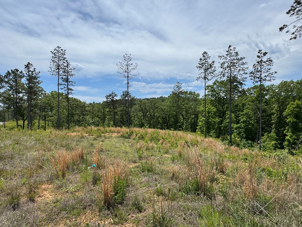 Lot 243 Spear Point Dr
