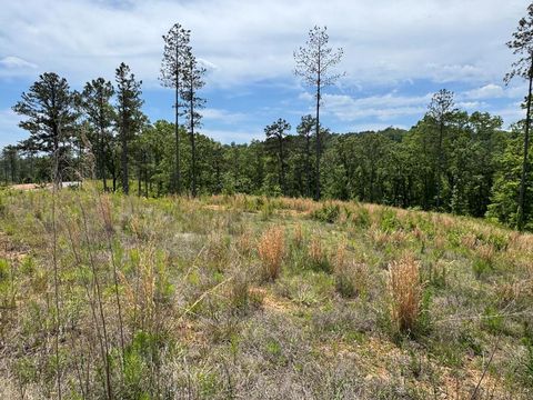 Lot 243 Spear Point Dr Talking Rock GA 30175