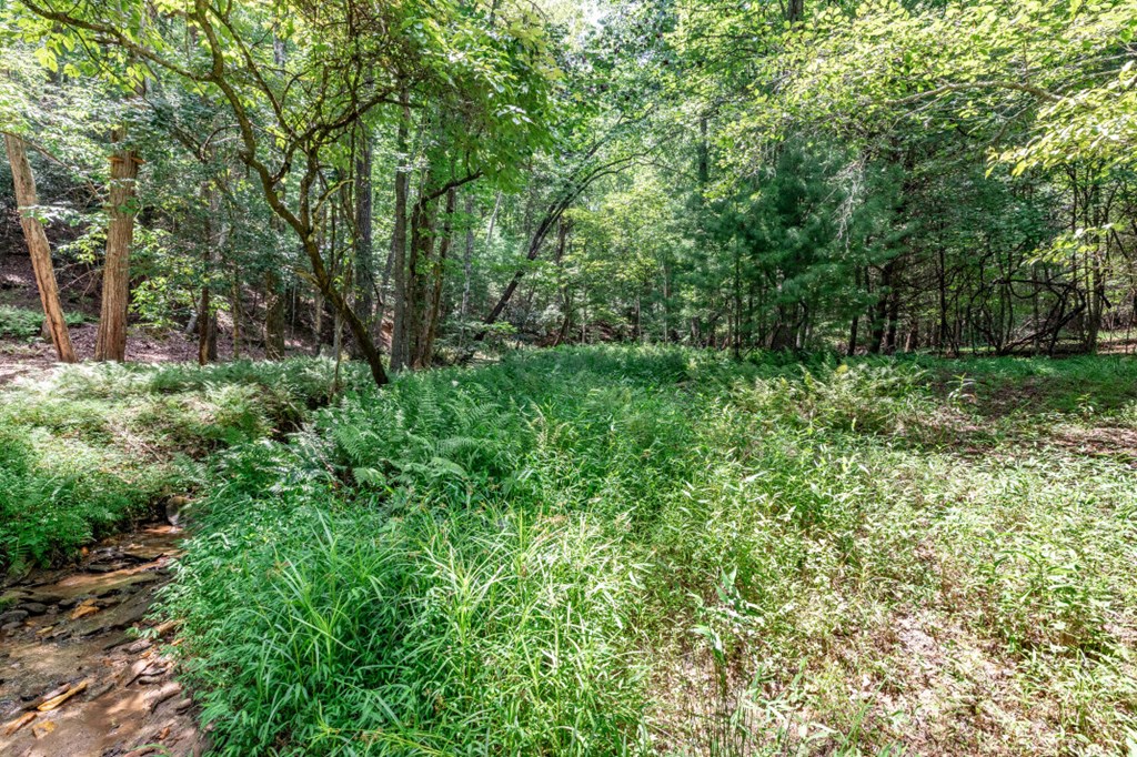 Lot 14 Rocking Chair Ridge