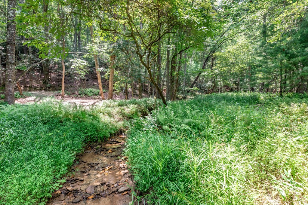 Lot 14 Rocking Chair Ridge