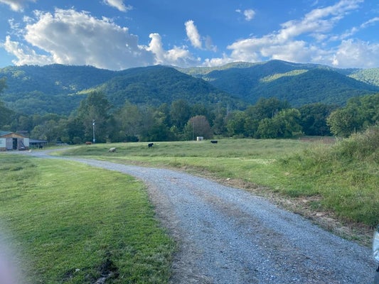 10617 HWY 64 E, HAYESVILLE, NC 28904 - Image 4702eec8e9db062a3b33363f34a06f0c/1604041955