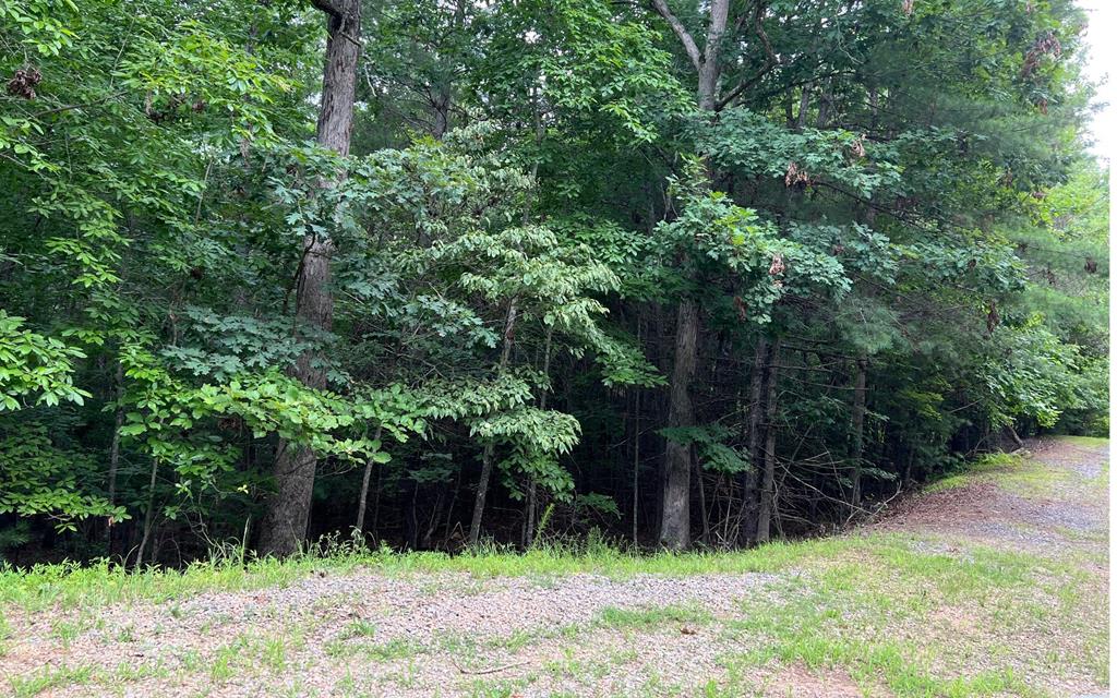 0 Maple Grove Road