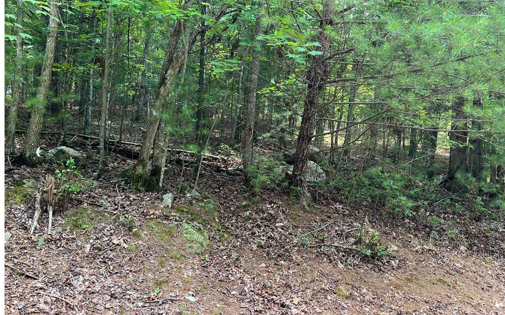 0 Maple Grove Road