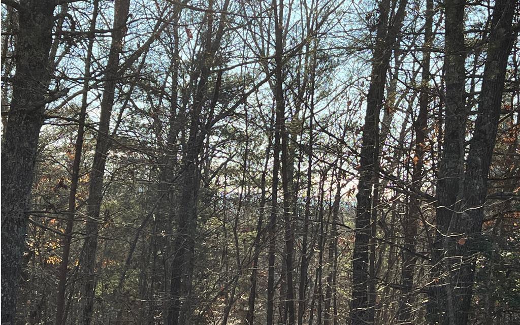 0 Maple Grove Road