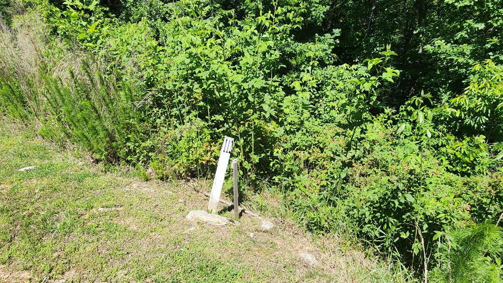 lot 112 Jakes Landing Overlook