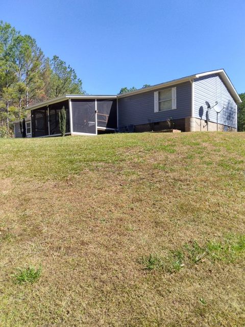 A home in Copperhill