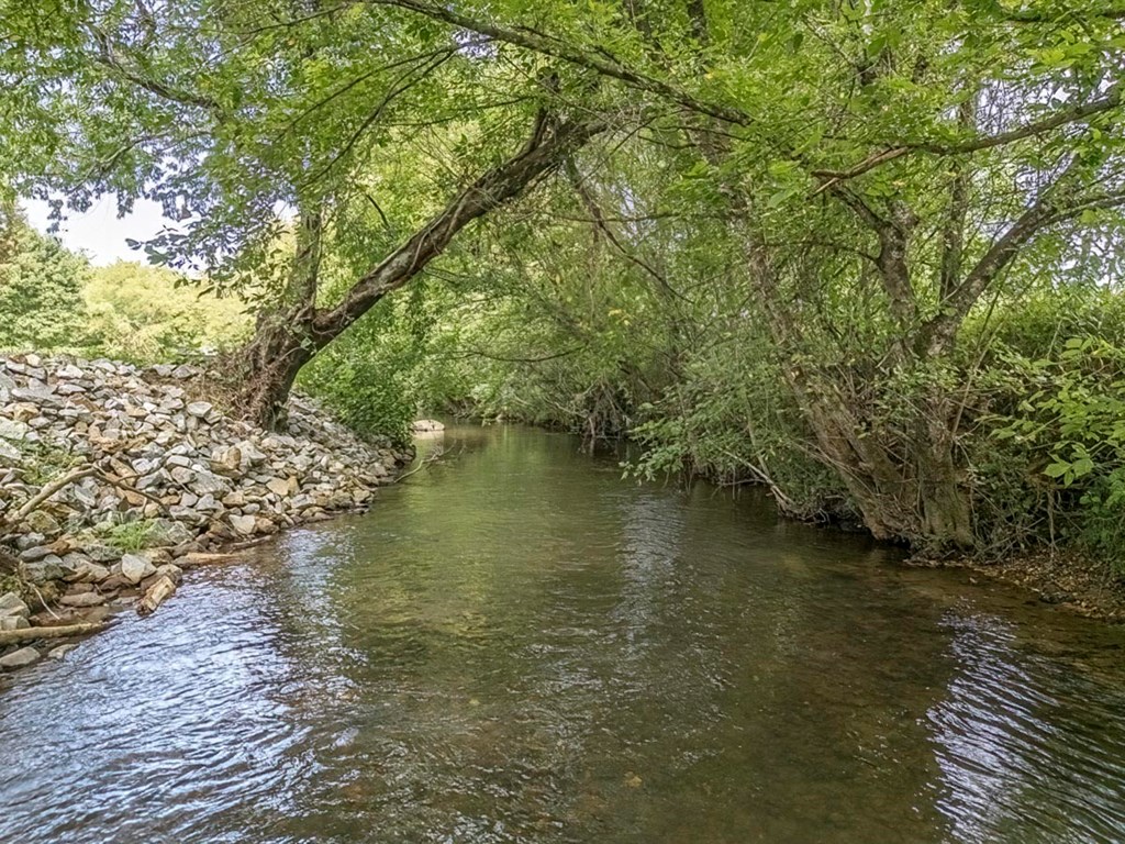 L42 Mountain Meadows Circle