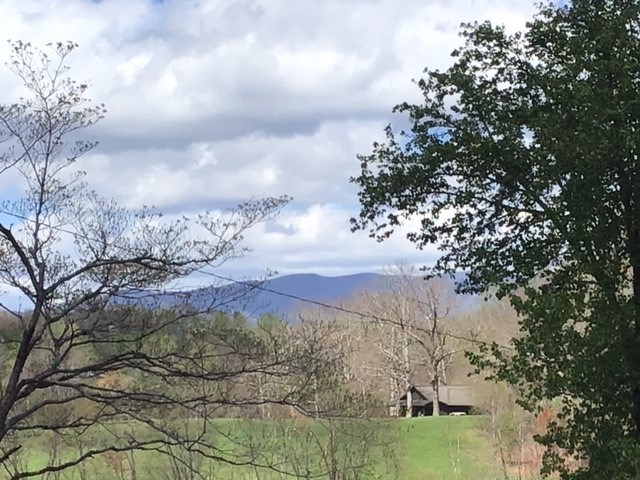 LOT 28 Sneaking Creek