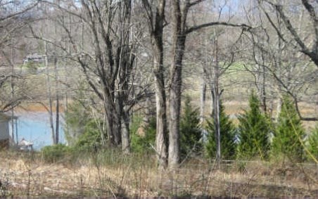 LOT 28 Sneaking Creek