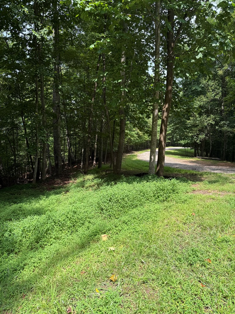 TRACT 4 Morgan Ridge Drive