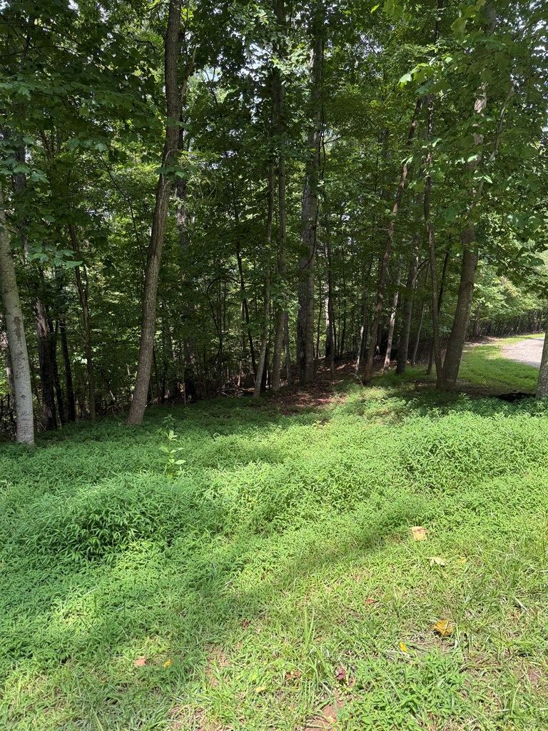 TRACT 4 Morgan Ridge Drive