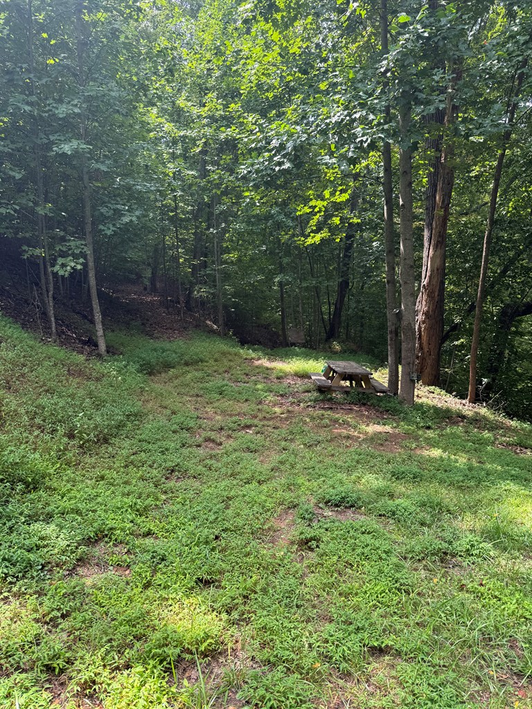 TRACT 4 Morgan Ridge Drive