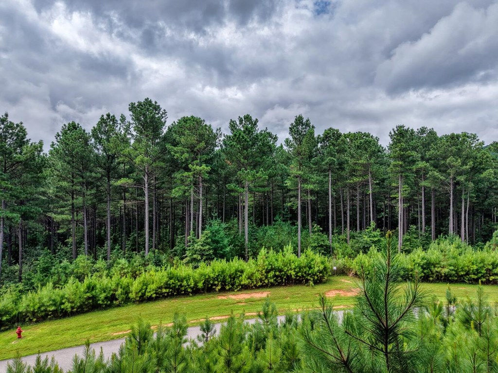 Lot 169 Thirteen Hundred