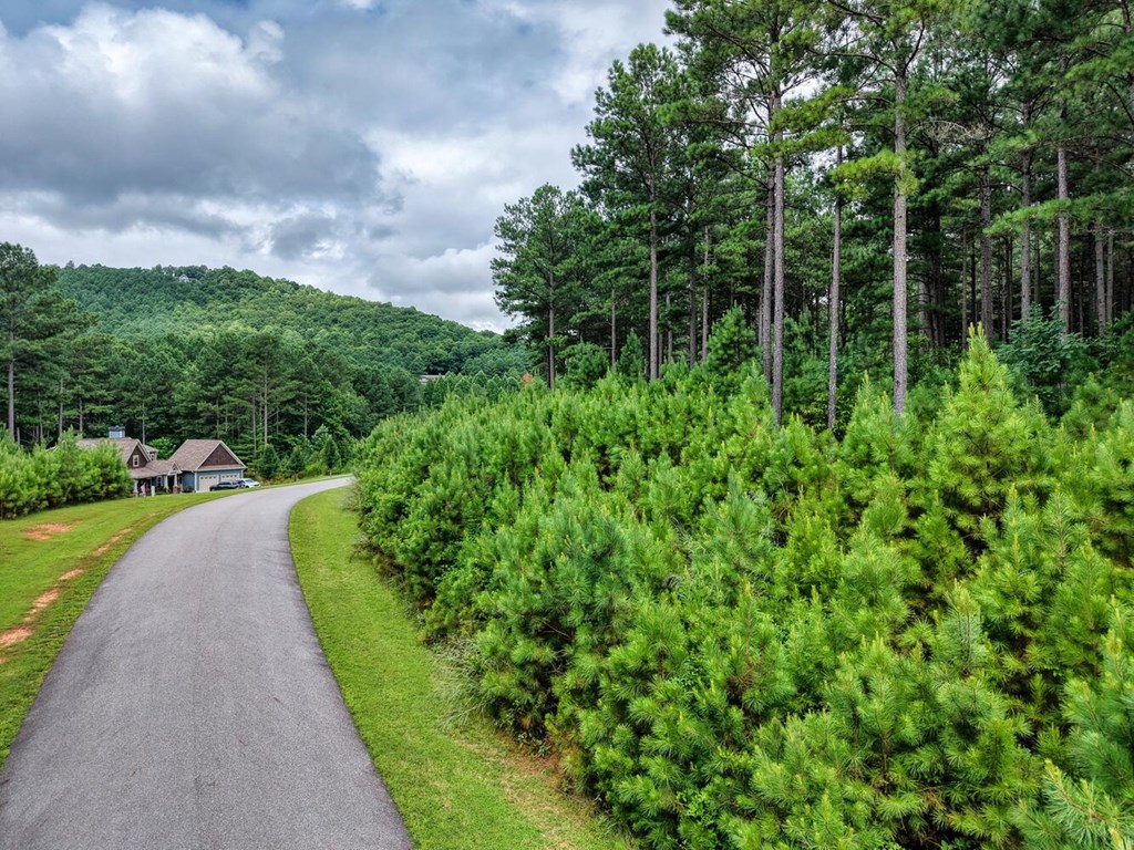 Lot 169 Thirteen Hundred