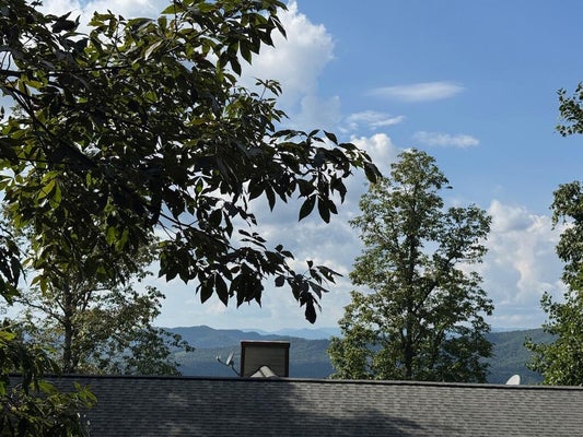 18 MASON LN, MARBLE, NC 28905 - Image 47ef0361bcf5fb76397c842a74c8b227/1776034919