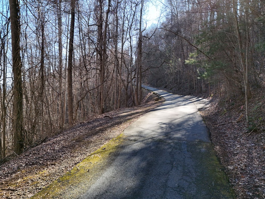 Lot E5 Flat Rock Gap Road