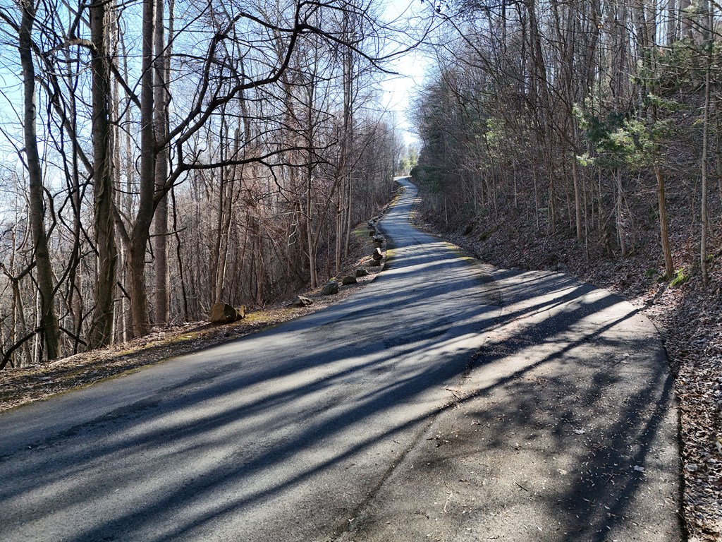 Lot E5 Flat Rock Gap Road