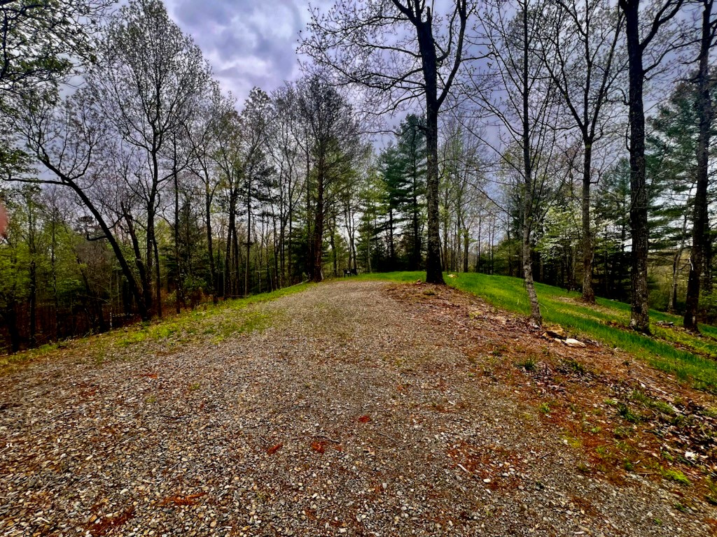 TR1-23 Majestic Mountain Trail