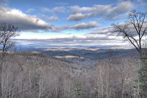 A home in Blue Ridge