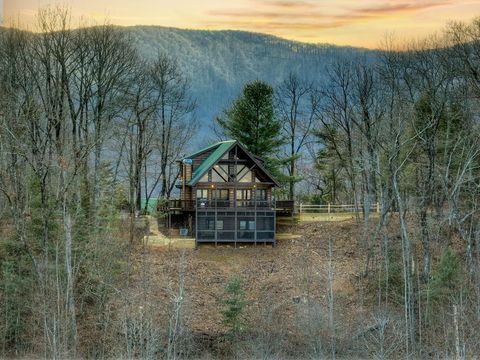 A home in Blue Ridge