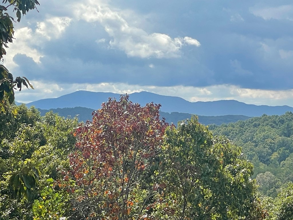 24 Rabbit Ridge Road