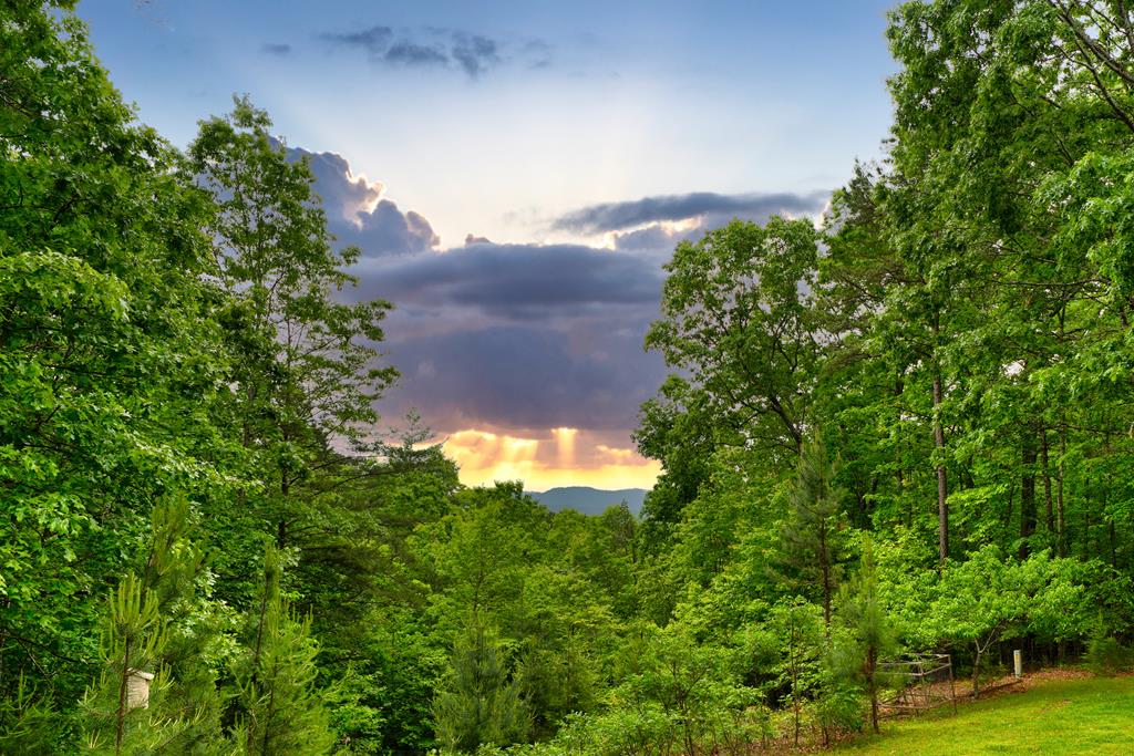 94 Rhinas Trail