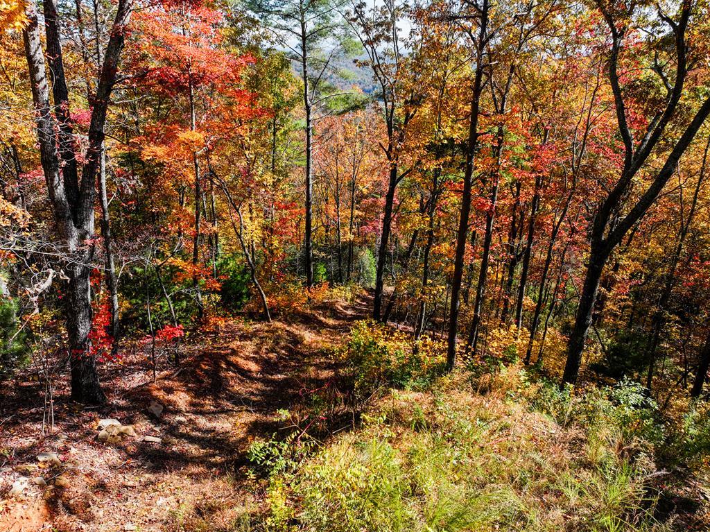 Lot 46 Utana Bluffs Trail