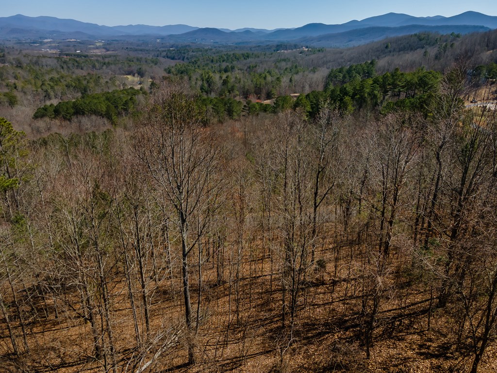 Lot 38 The Hills At Queens Gap